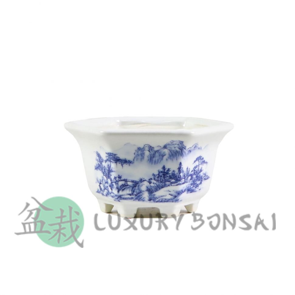 Горшок для бонсай Обара 10,5х10,5хH6 см бело-голубой фото 1 &mdash; Luxurybonsai.ru