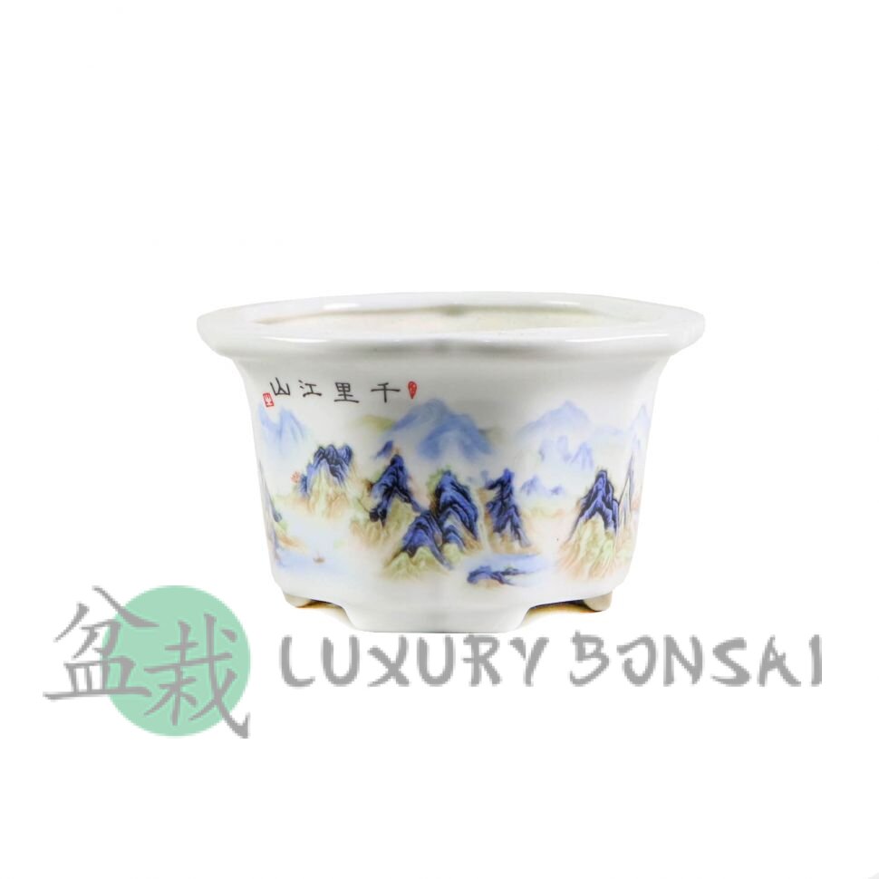 Горшок для бонсай Сазама 10,5х10,5хH6 см белый фото 1 &mdash; Luxurybonsai.ru